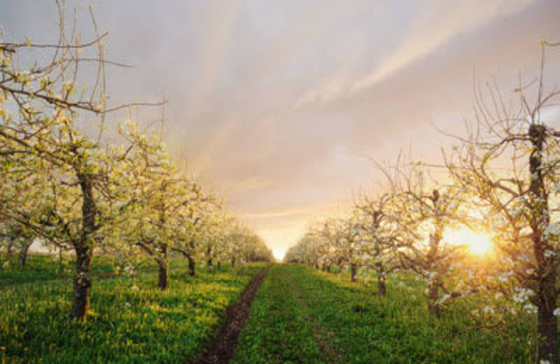 Astria Toppenish Hospital • Emergency Department