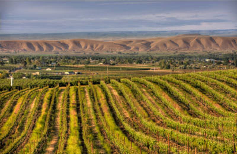 Astria Sunnyside Hospital • Emergency Department